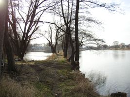 Berounka 2-Dobřichovická tůň 17.2.2004 (1).jpg